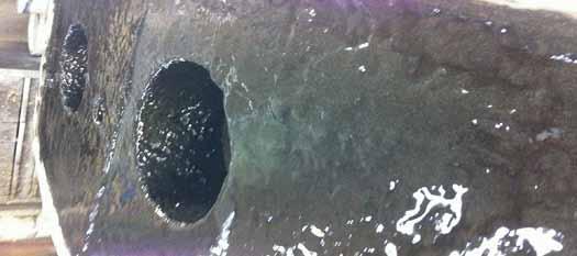 Expect More from a Curran Coating: Durable Protection for Cooling Water Equipment 2 img19